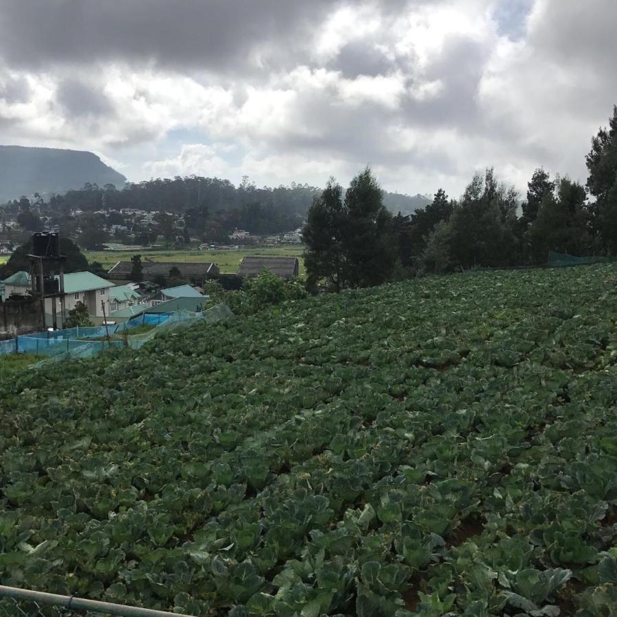 Dahlia Mount View Hotel Nuwara Eliya Bagian luar foto